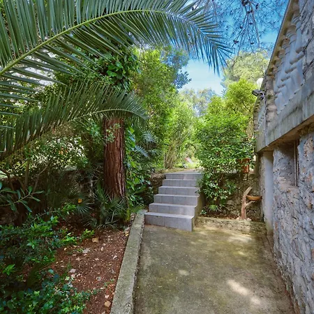 펜션 Seaside House Artatore - Losinj - 8005 *